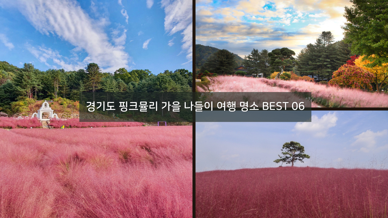 경기도 핑크뮬리 가을 나들이 여행 명소 BEST 06
