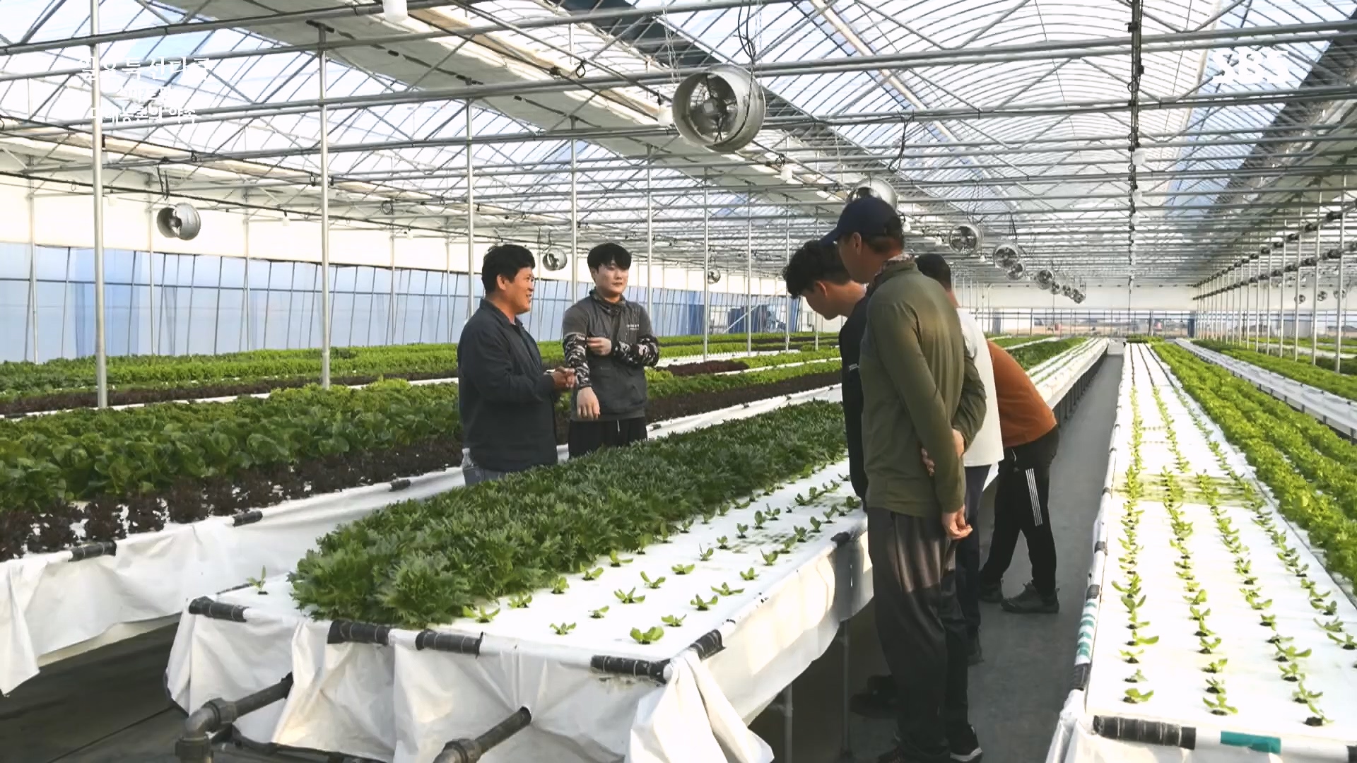 일요 특선 다큐멘터리.E348.240804p.H264-F1RST.mp4_20240805_201459.493.jpg