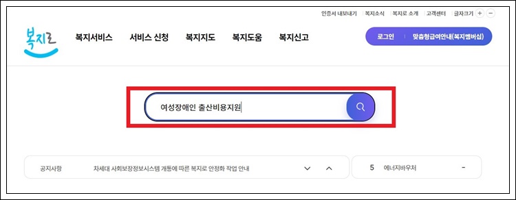 복지로 사이트 검색창에 &quot;여성장애인 출산비용 지원&quot;입력