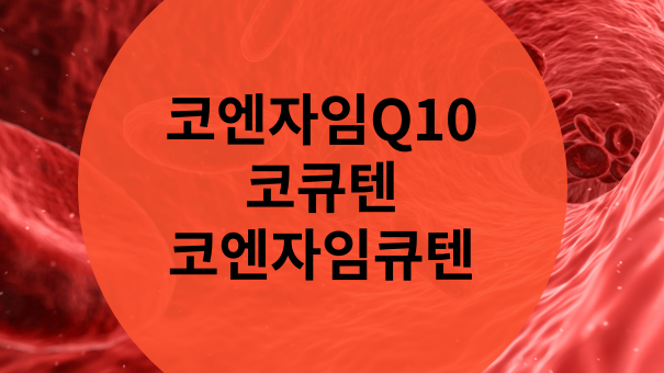 코큐텐 코엔자임Q10 효능 및 추천