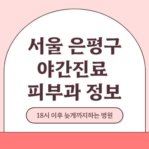 서울 은평구 야간진료 피부과 병원 (18시 이후 늦게까지하는 병원)