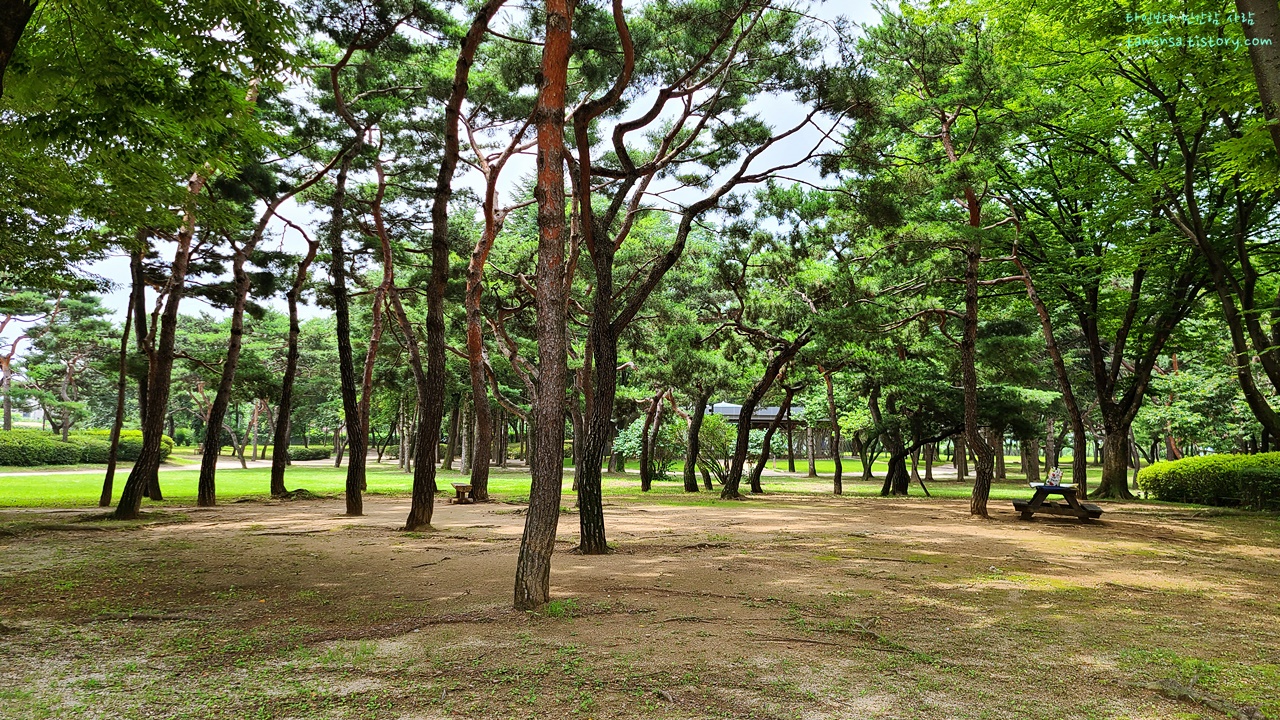  [서울 가볼만한 곳] 한가로운 산책이 가능한 암사동 선사유적지
