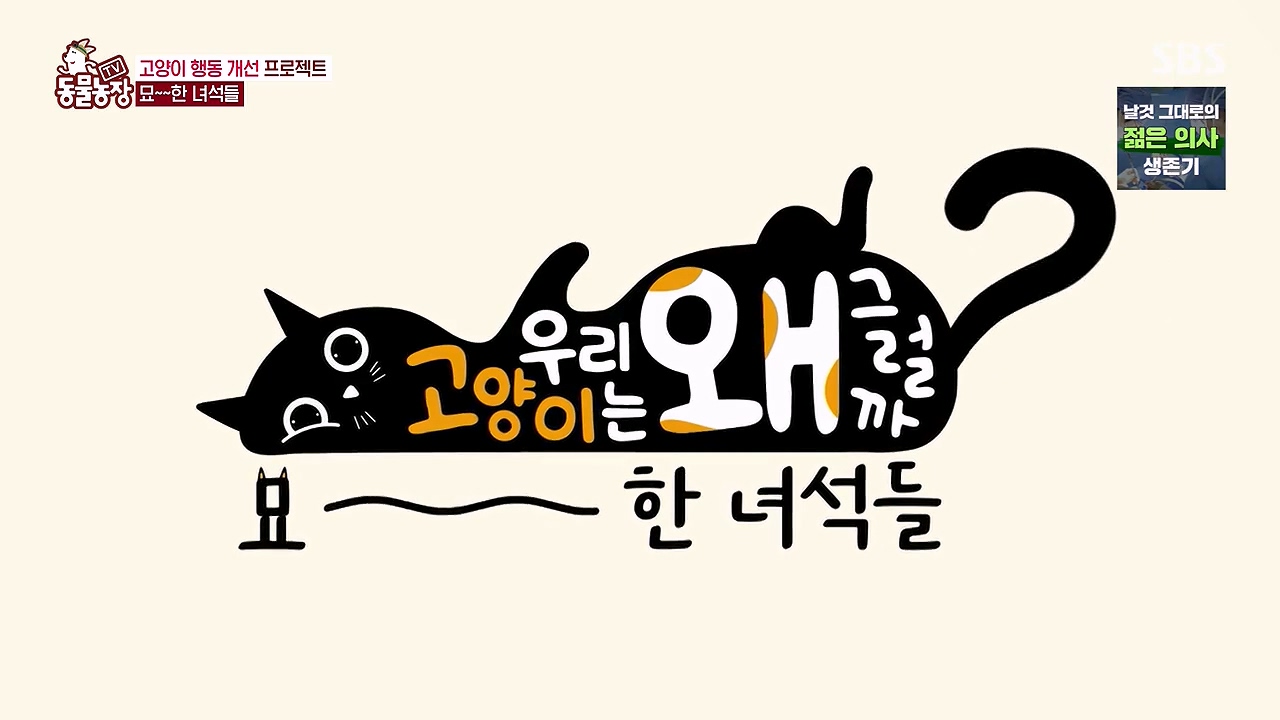 TV 동물농장.E1137.230911p-NEXT.mp4_20230910_181636.797.jpg