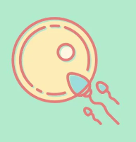  배란일 계산법 배란기 증상 생리주기 계산기 임신되는 기간 가임기 총정리
