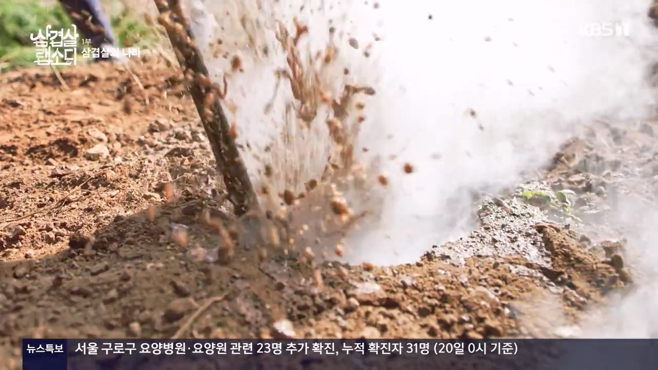 삼겹살 랩소디.E01.201221p-NEXT.mp4_20240221_195414.412.jpg