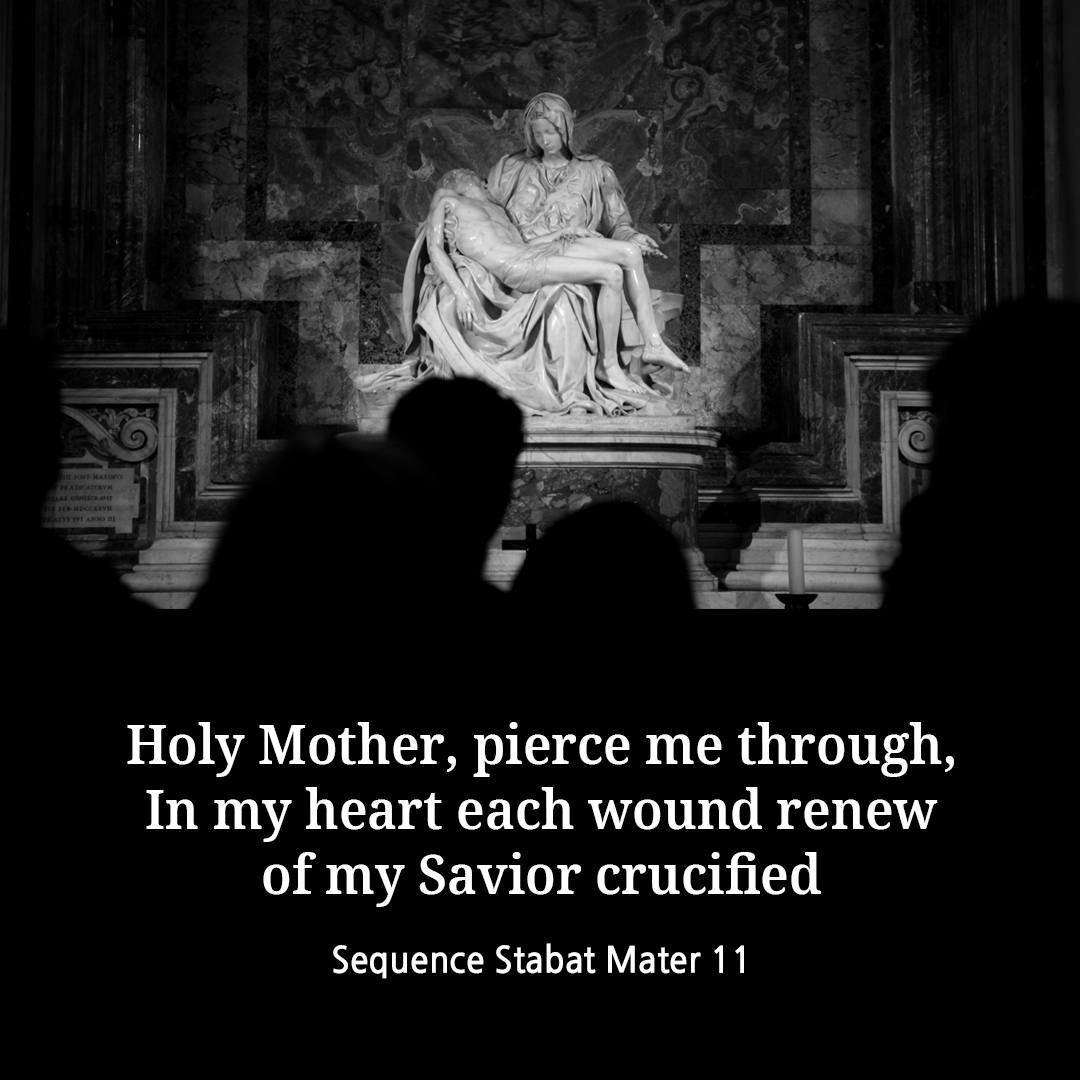 Holy Mother&#44; pierce me through&#44; In my heart each wound renew of my Savior crucified. (Sequence Stabat Mater 11)