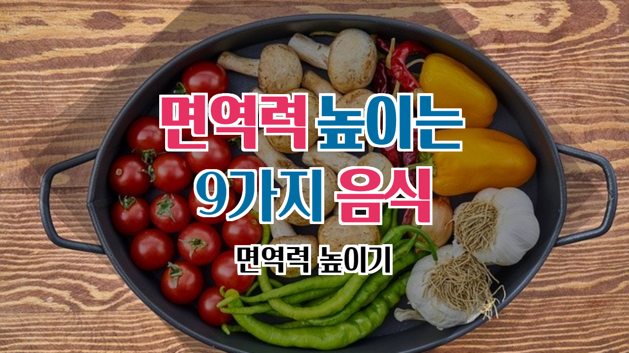  면역력 높이는 몸에좋은 음식 9가지(면역력 높이기)