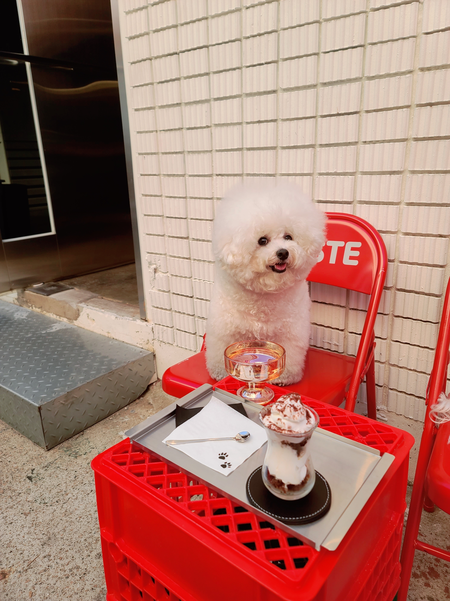  부산 전포 서면 전리단길 신상 카페 에스프레소바 트리에스테 TRIESTE_애견동반 에스프레소 카페