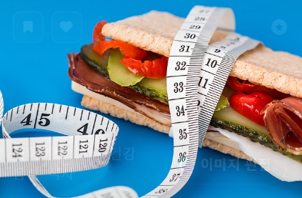 다이어트 중에도 맛있는 저칼로리 점심 레시피 3가지