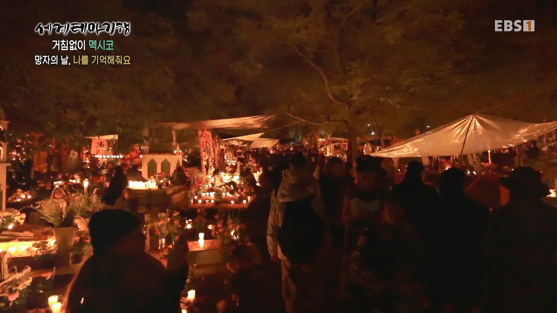 세계테마기행 240110 거침없이 멕시코 -맵다 매워 삐까삐까, 오아하카0p.mp4_20240713_163416.295.jpg