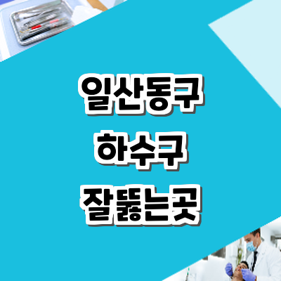 고양 일산동구 하수구