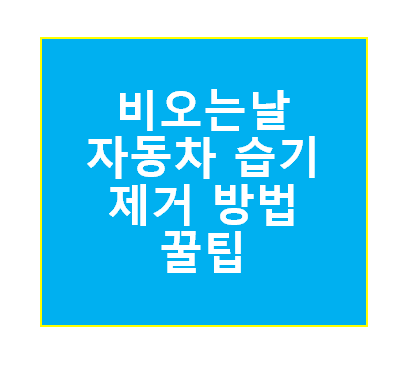 비오는날 자동차 습기 제거 방법