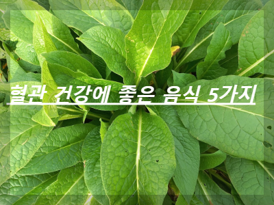 혈관 건강에 좋은 음식 5가지