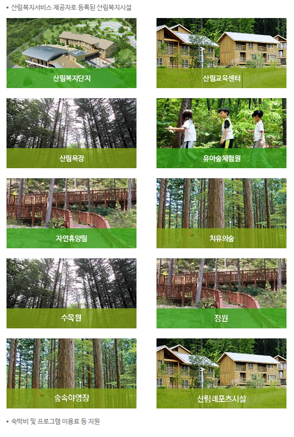  2023년 산림복지바우처 신청자격 알아보기(한시적 신청)