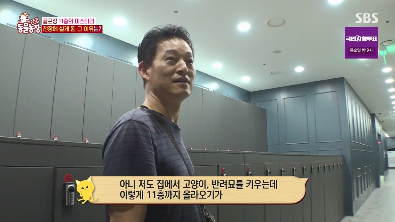 TV 동물농장.E1133.230814p-NEXT.mp4_20230813_171349.172.jpg