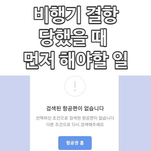  비행기 결항 당했을 때 먼저 해야 할 것