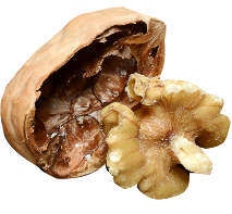 연골에 좋은 음식