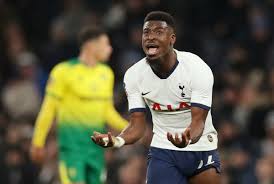  토트넘,노리치 시티에게 패배, tottenhamhotspur