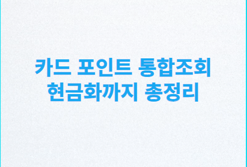  카드 포인트 통합조회, 모르면 손해 현금화 까지 총정리