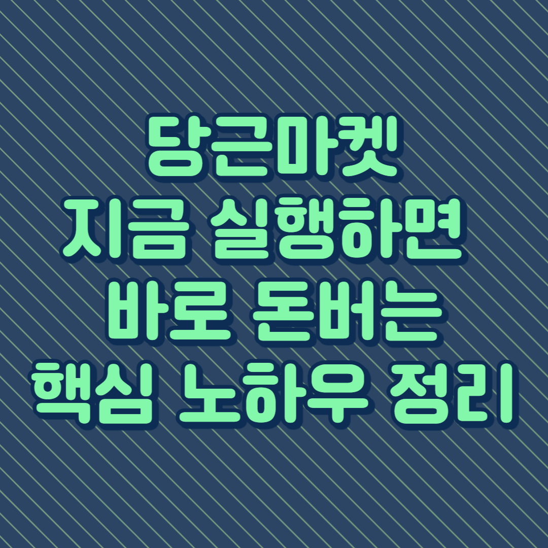 실행하면 바로 돈버는 당근마켓 핵심 노하우 정리