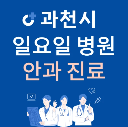 경기도-과천시-일요일-안과-진료하는곳-주말에-문여는-과천시-24시간-안과-병원-찾기