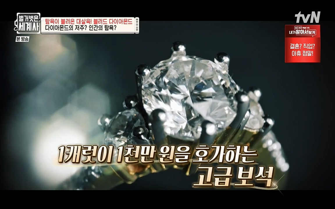 벌거벗은 세계사.E62.220831p-NEXT.mp4_20220905_195421.274.jpg