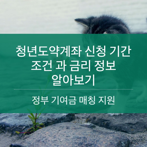 청년도약계좌 신청 기간 및 조건 과 금리 정보 알아보기