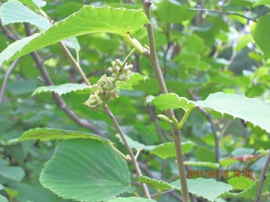  에서는 누구?(창 36: 1~43)