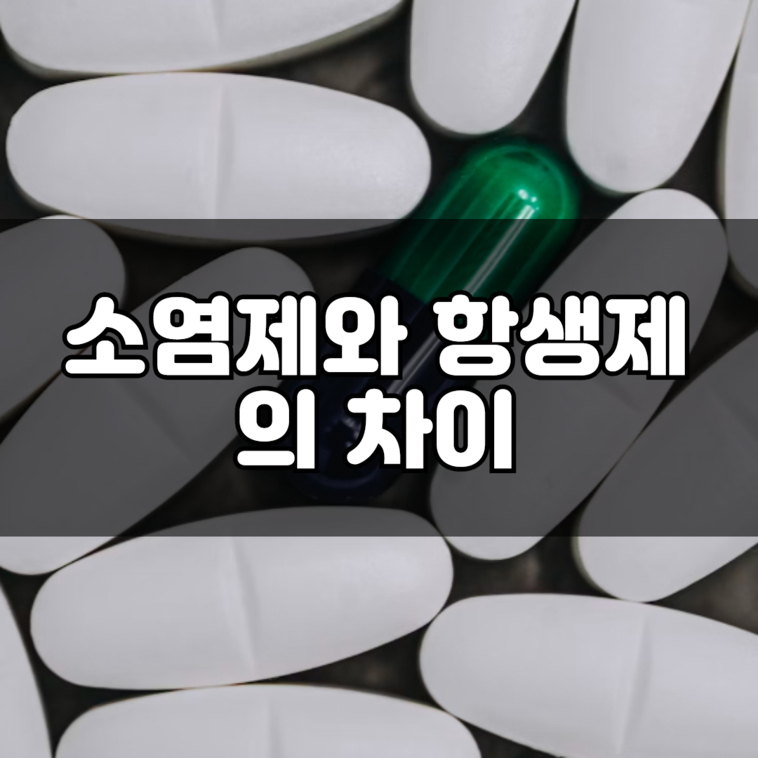 소염제와 항생제의 차이와 부작용, 복용 기간, 술 음주