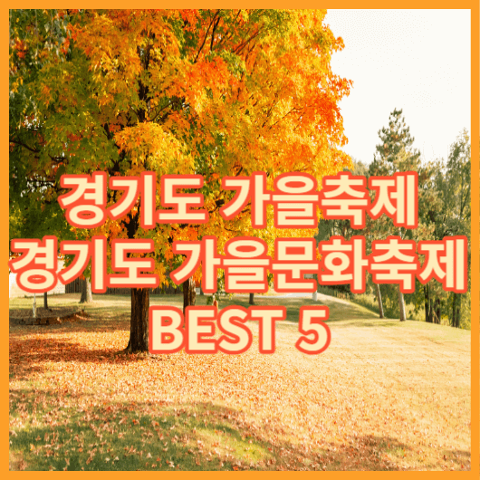  경기도 가을축제 BEST5 ! 경기도에서 가을 문화축제 즐겨보세요 !