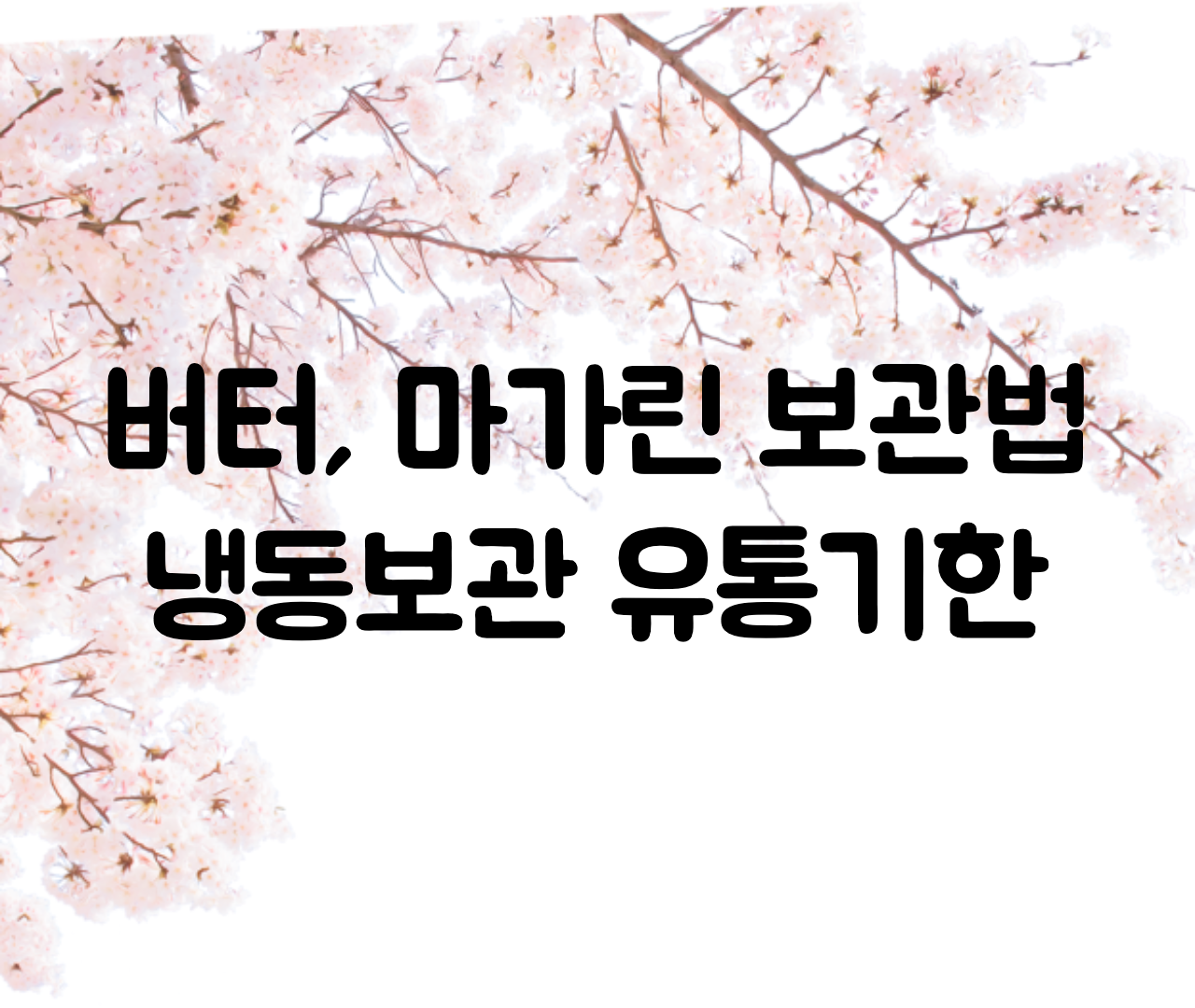 버터 냉장 보관방법 마가린 보관법, 냉동보관 버터 유통기한