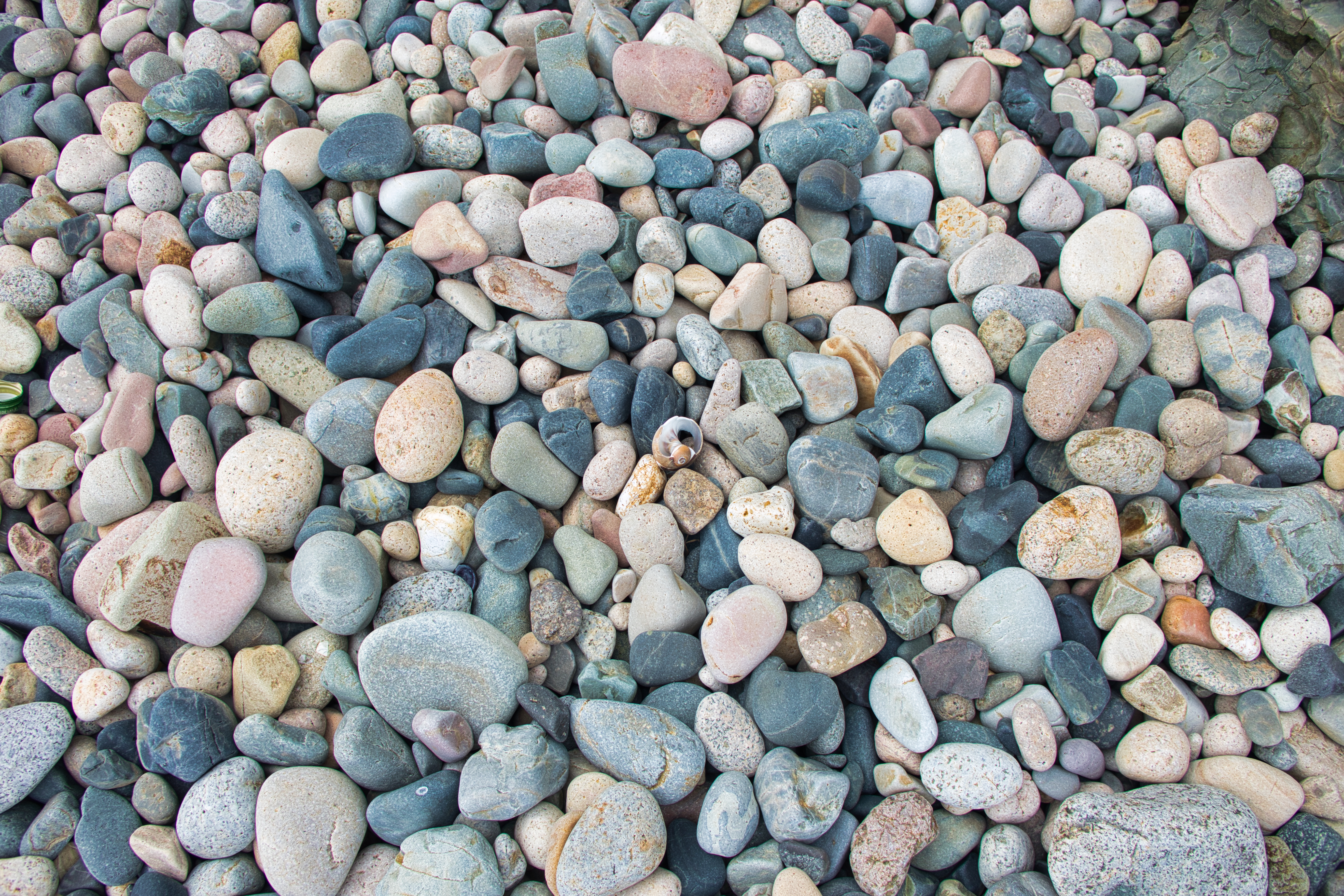img.jpg