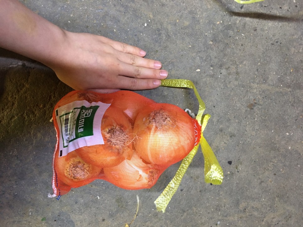 신미 업소용 양파 20kg 15kg 5kg 2kg 껍질을 벗긴 양파 7