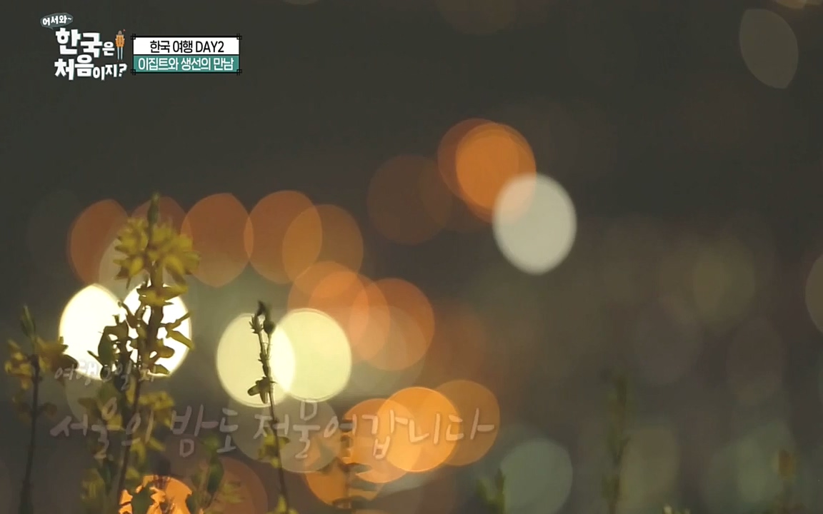 어서와 한국은 처음이지 시즌2.E224.220819p-NEXT.mp4_20220819_204515.203.jpg