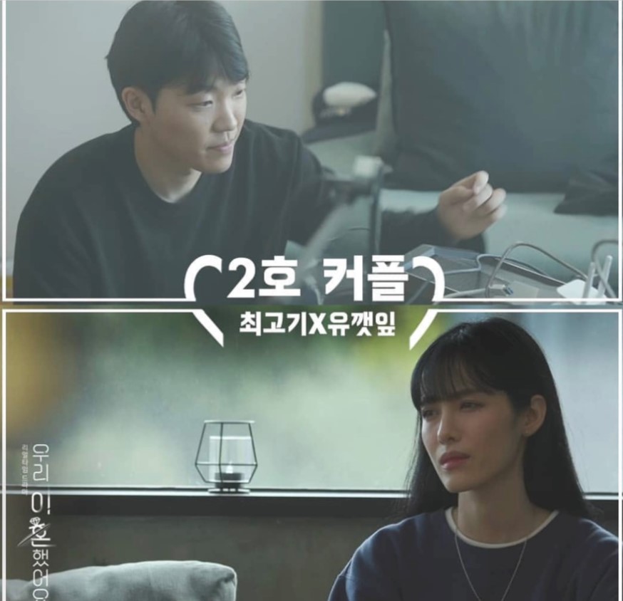  최고기 유깻잎 이혼 사유 및 재회 화제