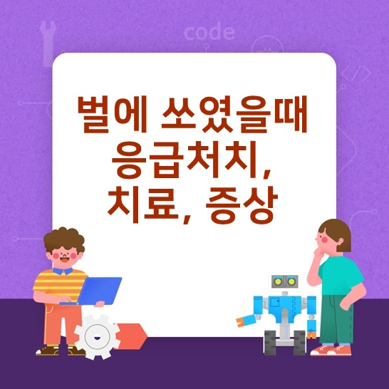  벌에쏘였을때 응급처치,치료,증상