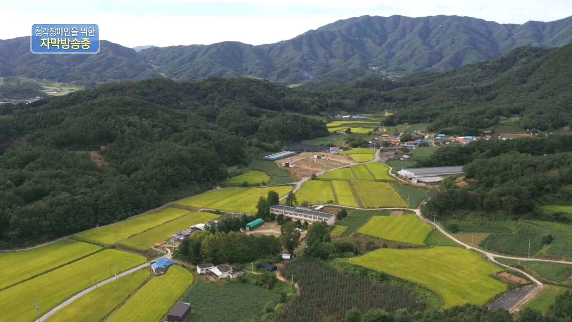 다큐 On.E165p.H264-F1RST.mp4_20221028_212305.126.jpg