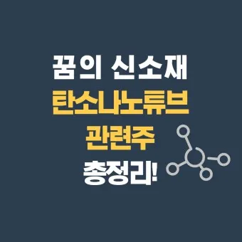 탄소나노튜브 대장주 관련주 TOP5_21