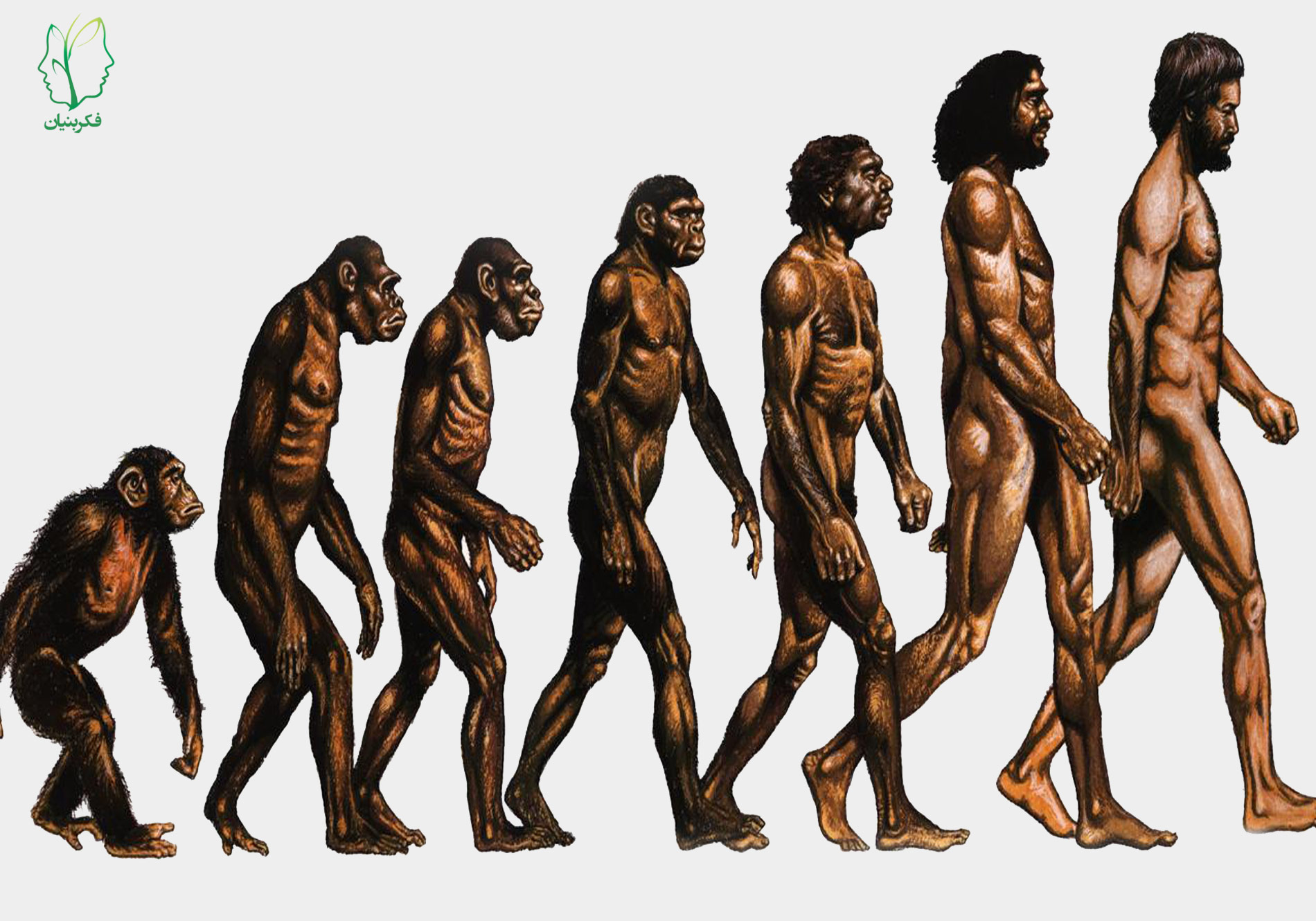 진화론은 과연 사실일까? 진화론에 가정에 대해 탐구해본다.