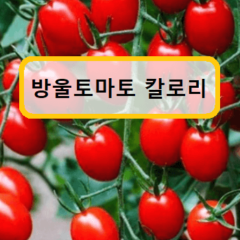 방울토마토-칼로리