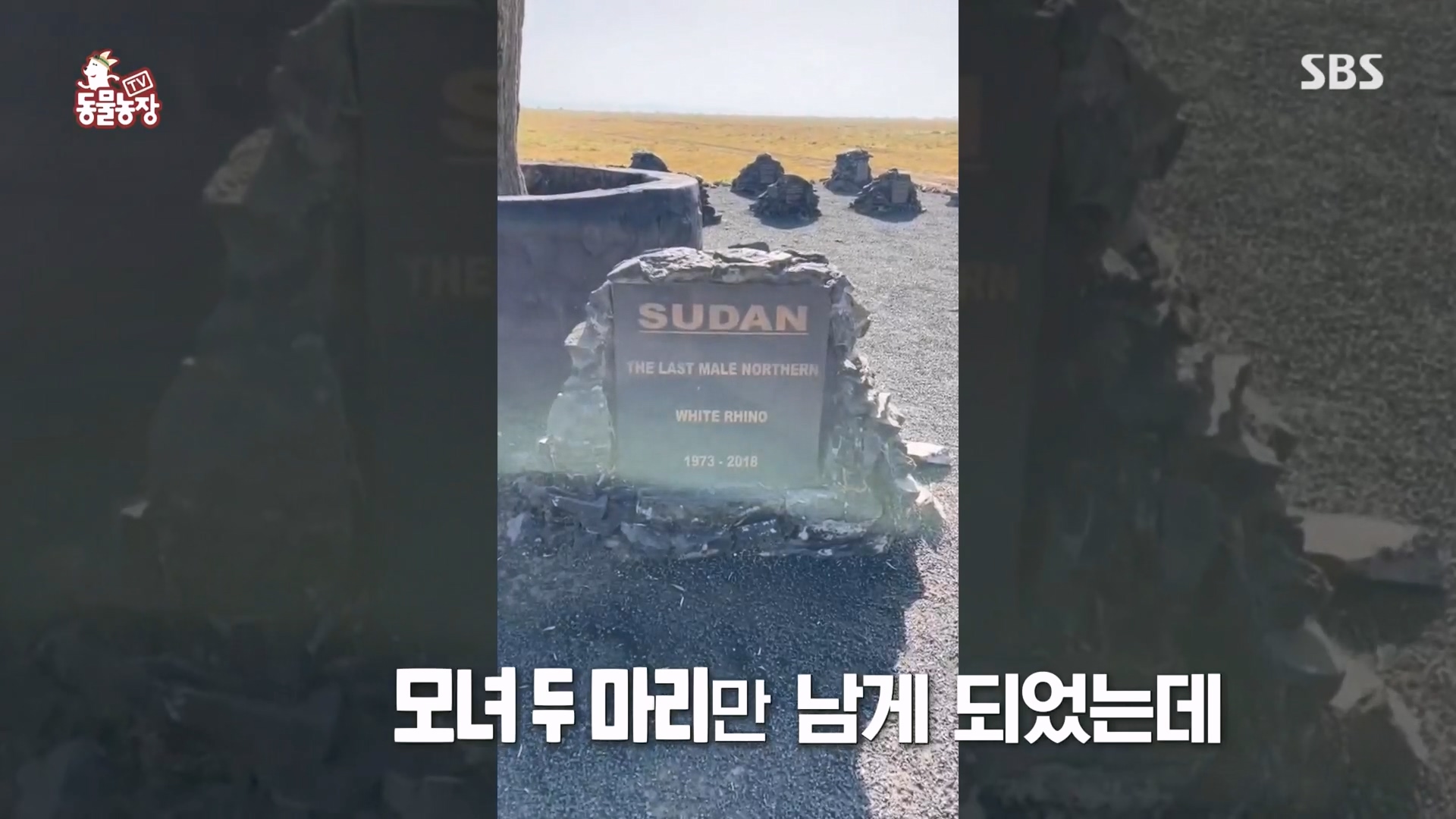 TV 동물농장.E1160.240225p.H264-F1RST.mp4_20240225_162652.796.jpg