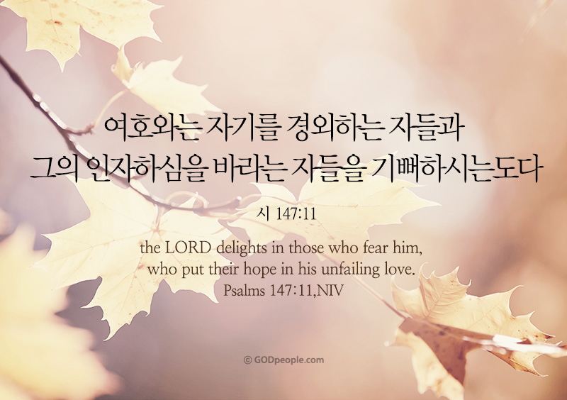  여호와는 자기를 경외하는 자들을 기뻐하시도다(시147:1-20)