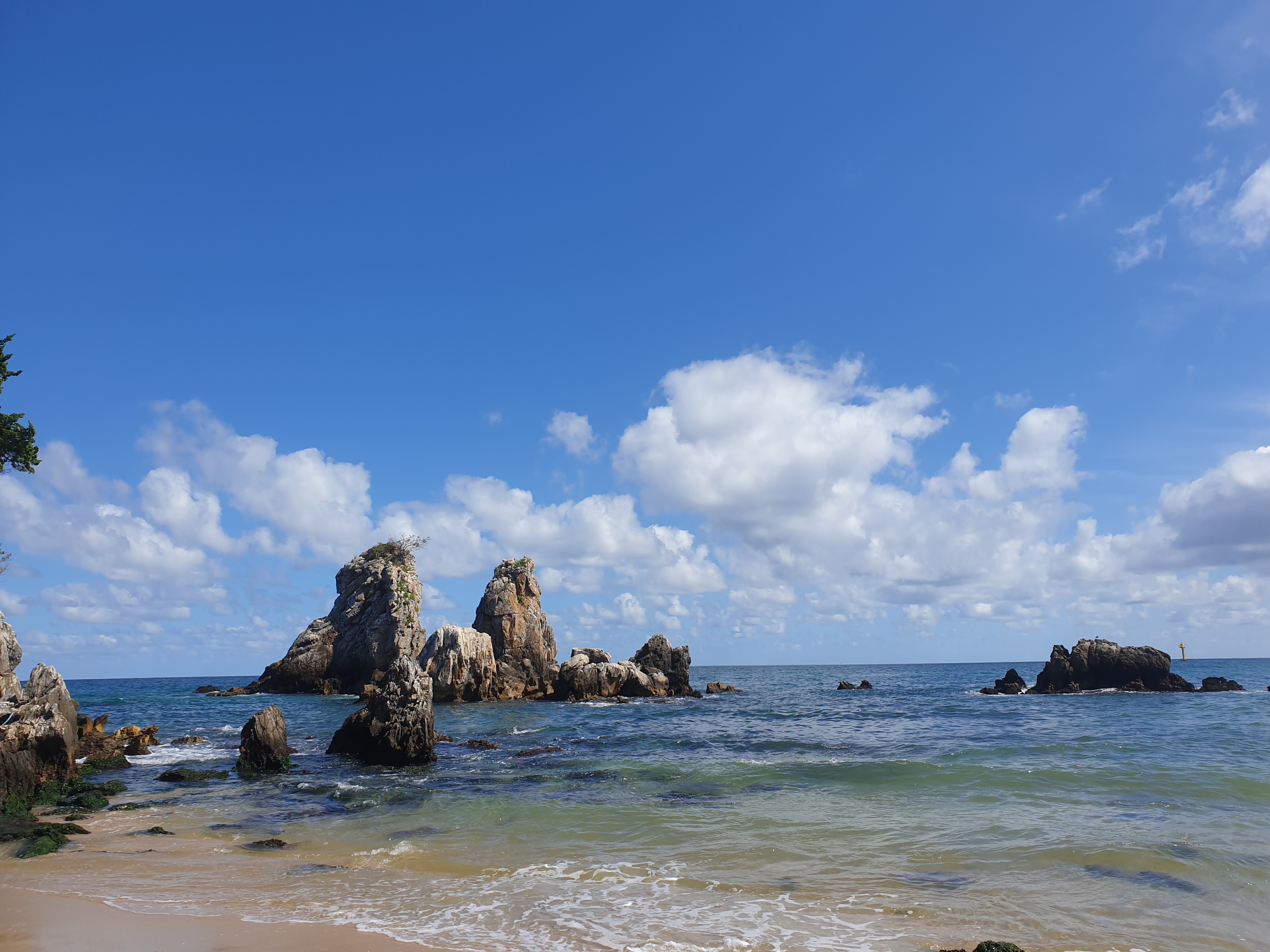 동해 추암촛대바위와 출렁다리 / 동해 여행 추천