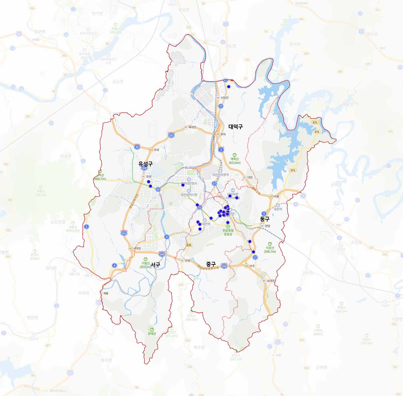 대전광역시의 지도위에 파란점으로 분포도가 나타나있는 이미지이다.