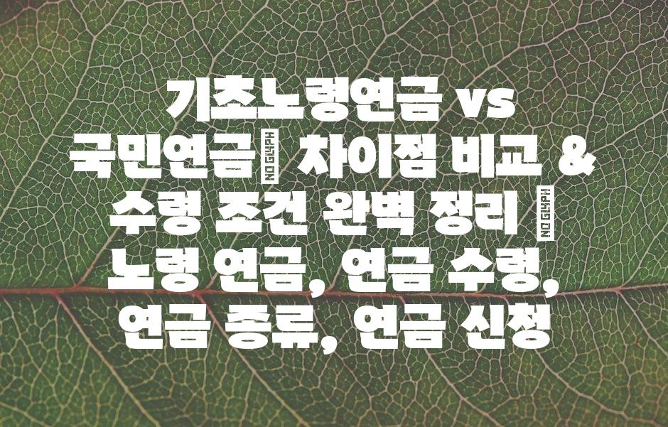 샘플 (43)