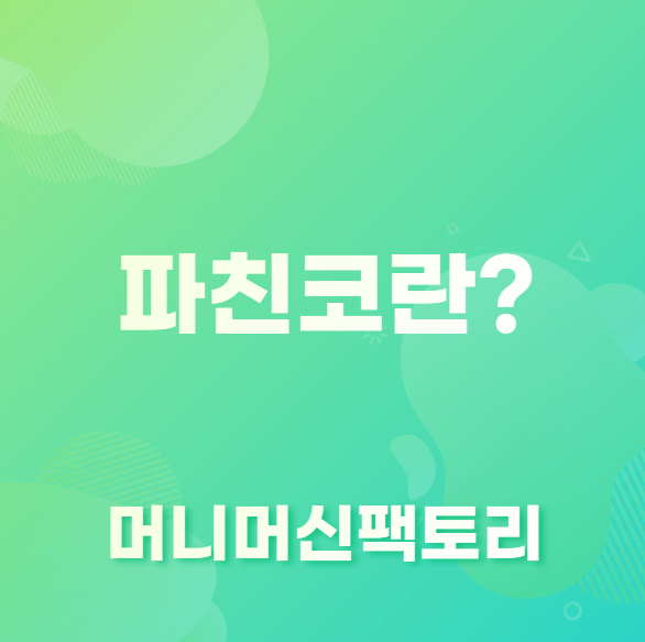 파친코란?
