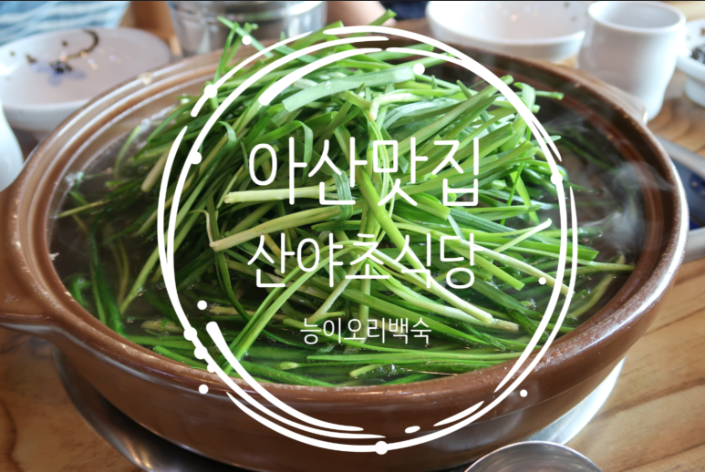 [내가 낼게] 천안아산식당 '산야초식당'에서 오리탕으로 복식한다. 15