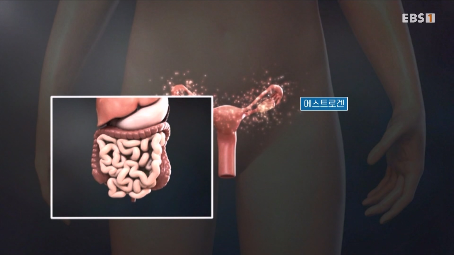 명의 240726 1080p.mp4_20240727_220920.052.jpg