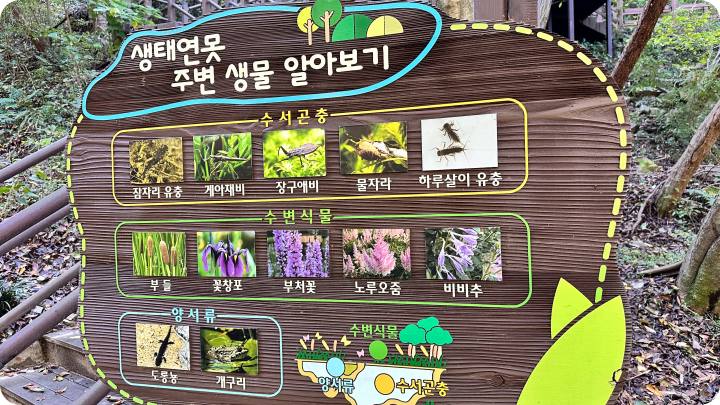 생태연못 안내 표지판이 보인다