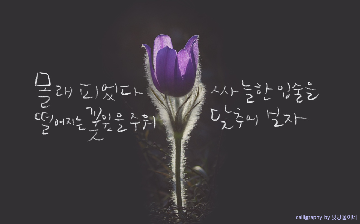 김달진시인체념중에서
